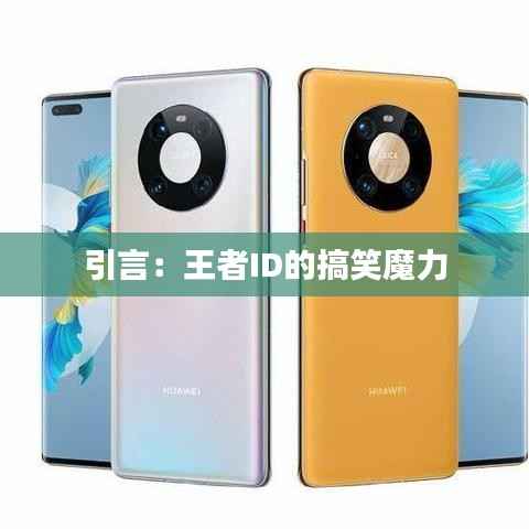 引言:王者ID的搞笑魔力