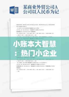 小账本大智慧:热门小企业会计准则的创意解读