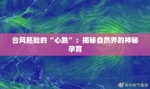 台风胚胎的“心跳”:揭秘自然界的神秘孕育
