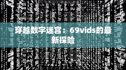 穿越数字迷宫:69vids的最新探险