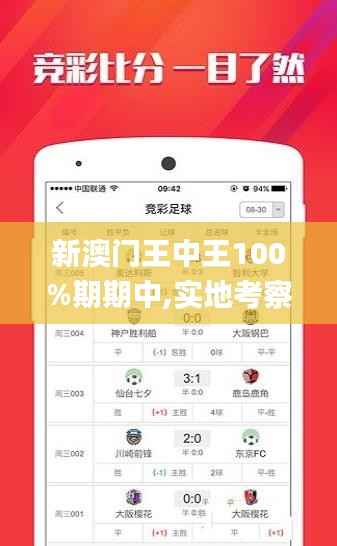 新澳门王中王100%期期中,实地考察数据分析_投资版3.283-1