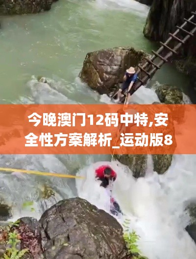 今晚澳门12码中特,安全性方案解析_运动版83.322