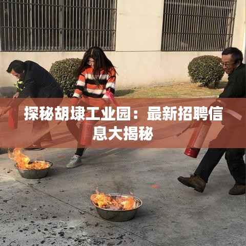 探秘胡埭工业园:最新招聘信息大揭秘