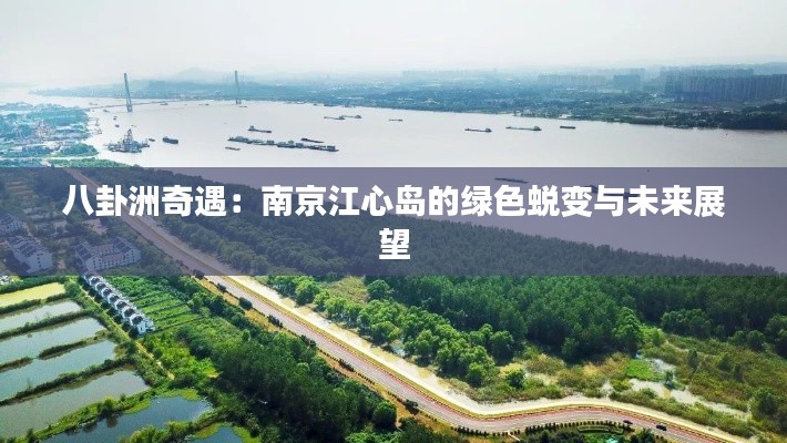 八卦洲奇遇:南京江心岛的绿色蜕变与未来展望