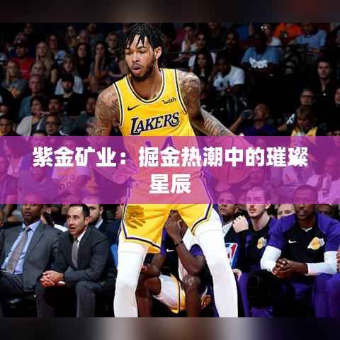 紫金矿业:掘金热潮中的璀璨星辰