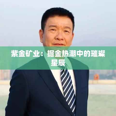 紫金矿业:掘金热潮中的璀璨星辰