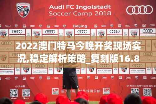 2022澳门特马今晚开奖现场实况,稳定解析策略_复刻版16.858