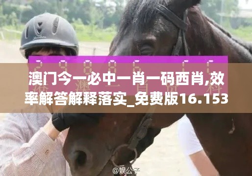 澳门今一必中一肖一码西肖,效率解答解释落实_免费版16.153