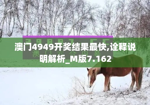 澳门4949开奖结果最快,诠释说明解析_M版7.162