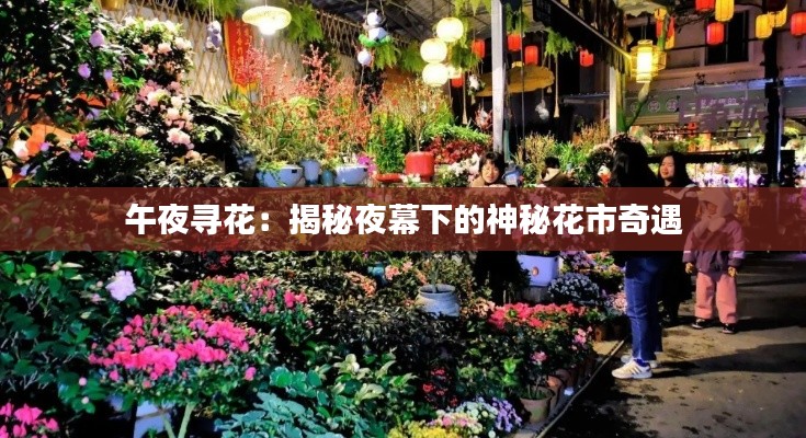 午夜寻花：揭秘夜幕下的神秘花市奇遇