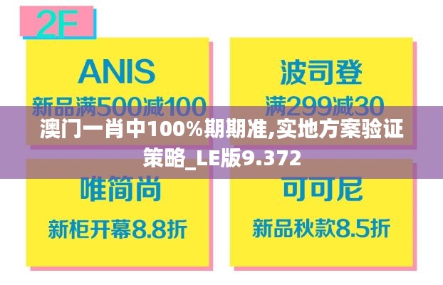 澳门一肖中100%期期准,实地方案验证策略_LE版9.372