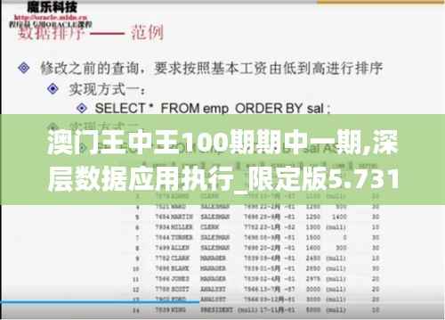 澳门王中王100期期中一期,深层数据应用执行_限定版5.731