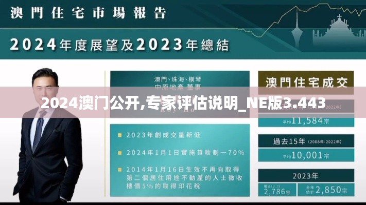 2024澳门公开,专家评估说明_NE版3.443
