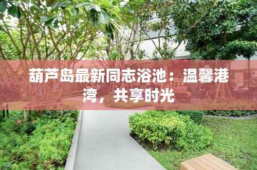 葫芦岛最新同志浴池:温馨港湾,共享时光