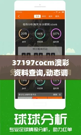 37197cocm澳彩资料查询,动态调整策略执行_3DM9.816