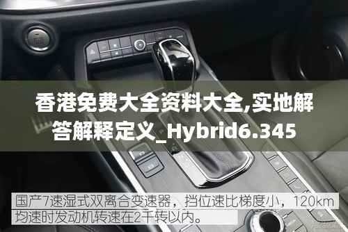 香港免费大全资料大全,实地解答解释定义_Hybrid6.345