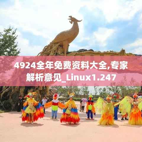 4924全年免费资料大全,专家解析意见_Linux1.247