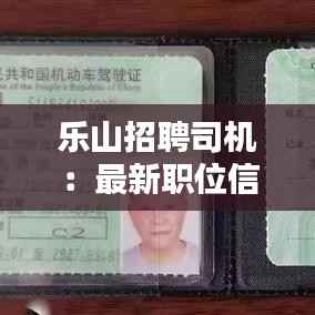 乐山招聘司机：最新职位信息与求职指南