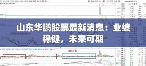 山东华鹏股票最新消息:业绩稳健,未来可期