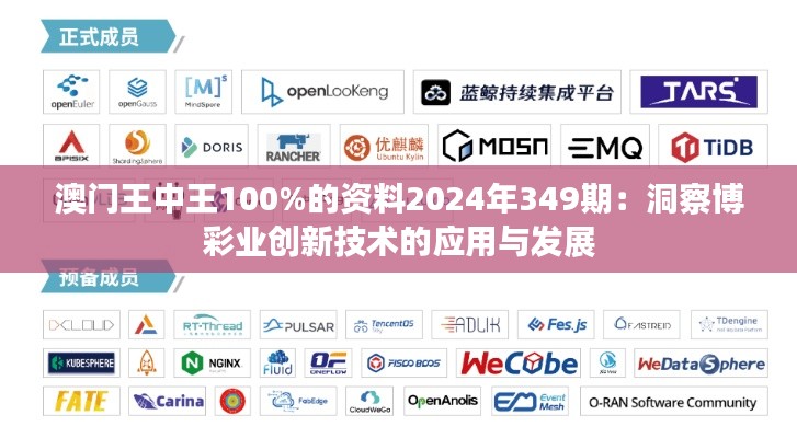 澳门王中王100%的资料2024年349期:洞察博彩业创新技术的应用与发展