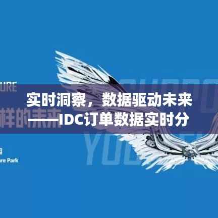 实时洞察,数据驱动未来——IDC订单数据实时分析的价值与应用