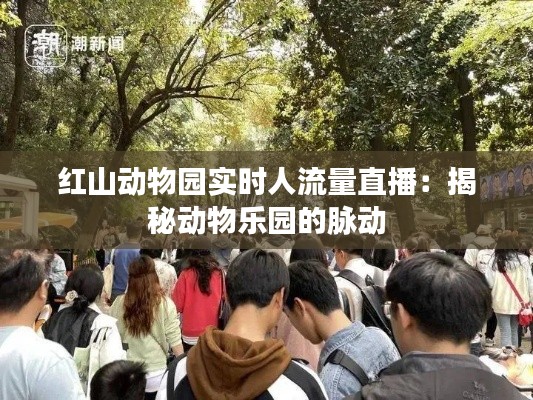 红山动物园实时人流量直播：揭秘动物乐园的脉动