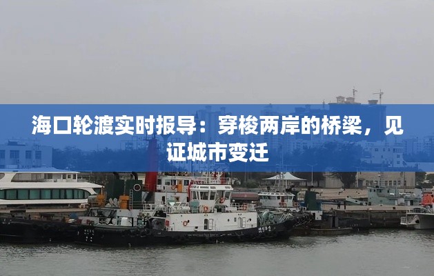 海口轮渡实时报导:穿梭两岸的桥梁,见证城市变迁