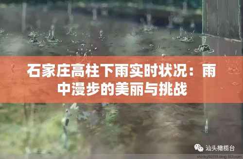 石家庄高柱下雨实时状况:雨中漫步的美丽与挑战