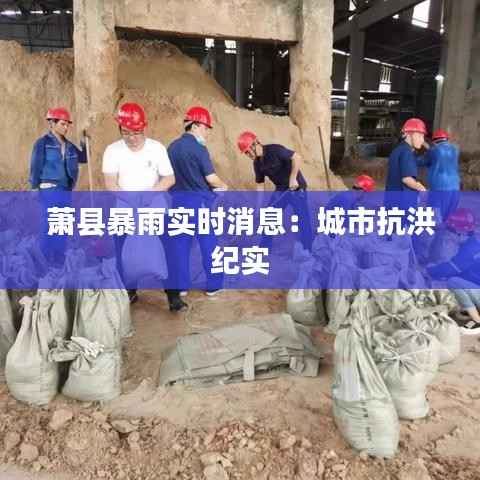 萧县暴雨实时消息：城市抗洪纪实