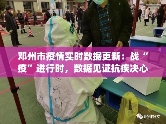 杳无音讯 第3页