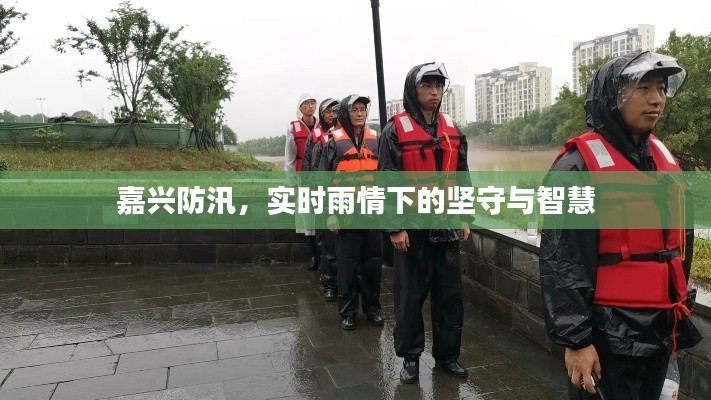 嘉兴防汛,实时雨情下的坚守与智慧