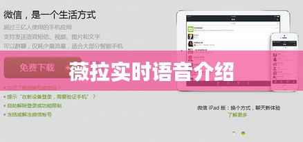 薇拉实时语音介绍