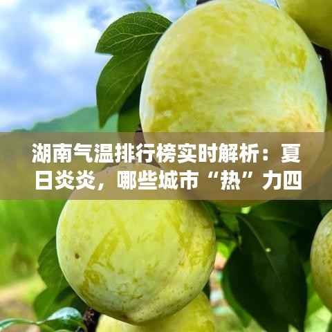 湖南气温排行榜实时解析:夏日炎炎,哪些城市“热”力四射?