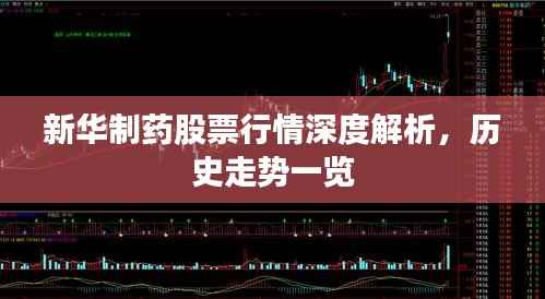 新华制药股票行情深度解析，历史走势一览