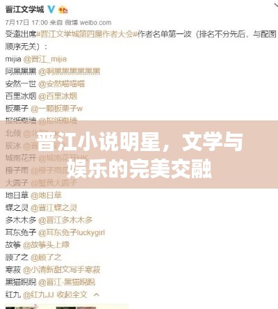 晋江小说明星,文学与娱乐的完美交融