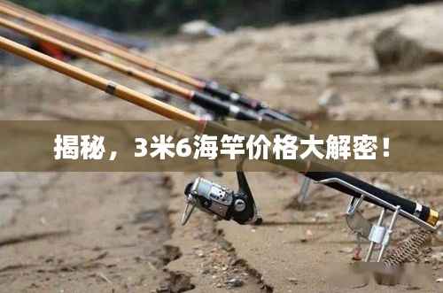 揭秘,3米6海竿价格大解密!
