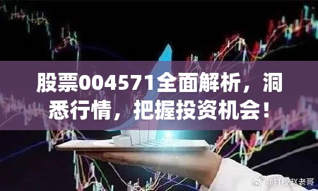 股票004571全面解析，洞悉行情，把握投资机会！