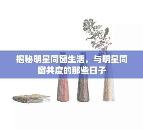 揭秘明星同窗生活，与明星同窗共度的那些日子