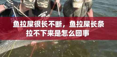 出境旅游 第136页