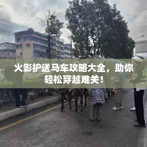 火影护送马车攻略大全，助你轻松穿越难关！