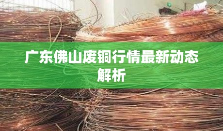广东佛山废铜行情最新动态解析