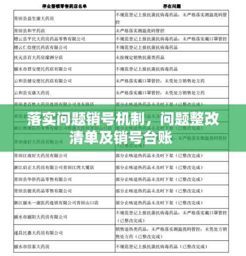 落实问题销号机制,问题整改清单及销号台账