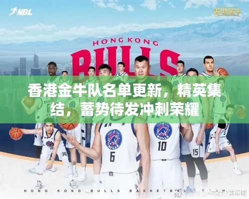 香港金牛队名单更新,精英集结,蓄势待发冲刺荣耀