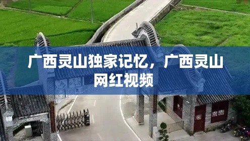 广西灵山独家记忆，广西灵山网红视频 