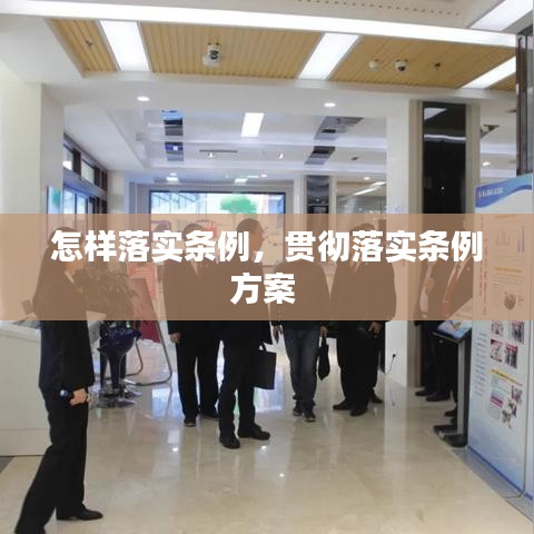 怎样落实条例,贯彻落实条例方案