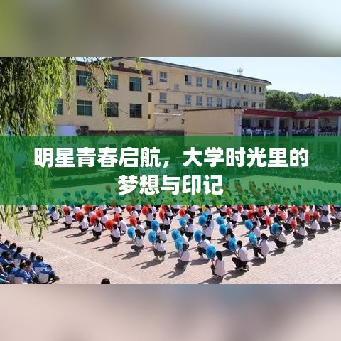 明星青春启航,大学时光里的梦想与印记