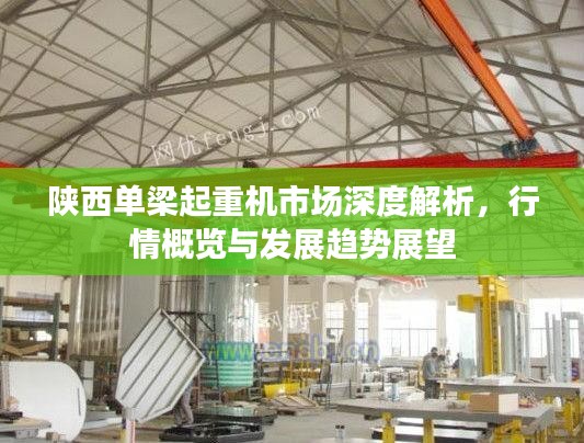陕西单梁起重机市场深度解析，行情概览与发展趋势展望