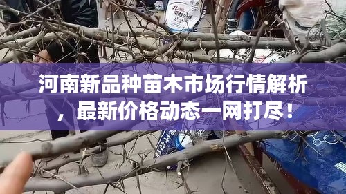 粗心大意 第4页