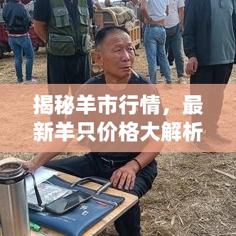 蛙鸣蝉噪 第4页