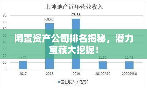 闲置资产公司排名揭秘,潜力宝藏大挖掘!